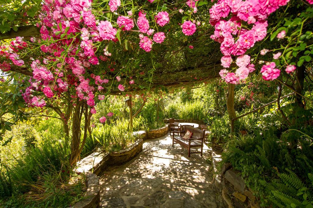 Paradise In Portugal Santa Clara-a-Velha Exterior photo